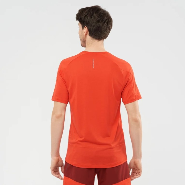 Orange Salomon Cross Run Short Sleeve Men's T-Shirts | IE PR3756